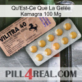 What Is Kamagra Jelly 100Mg 41